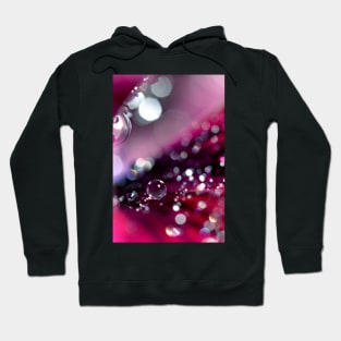 Velvet Pansy Sparkles Hoodie